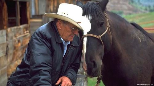 The Things We Do for Love