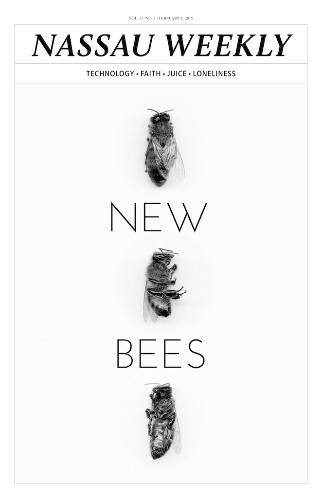 New Bees