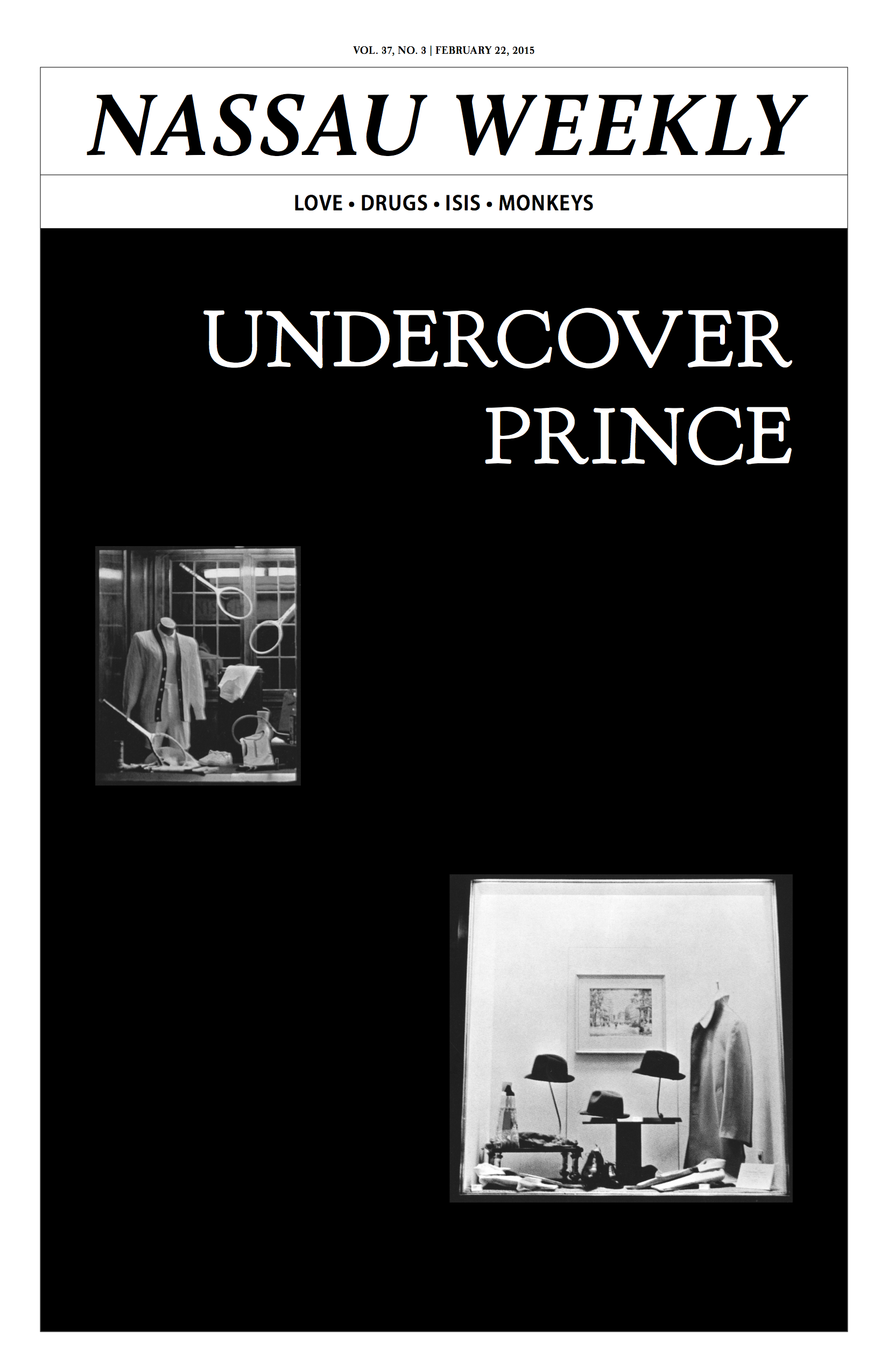 Undercover Prince
