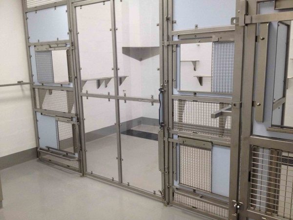 Princeton’s Forgotten Primates