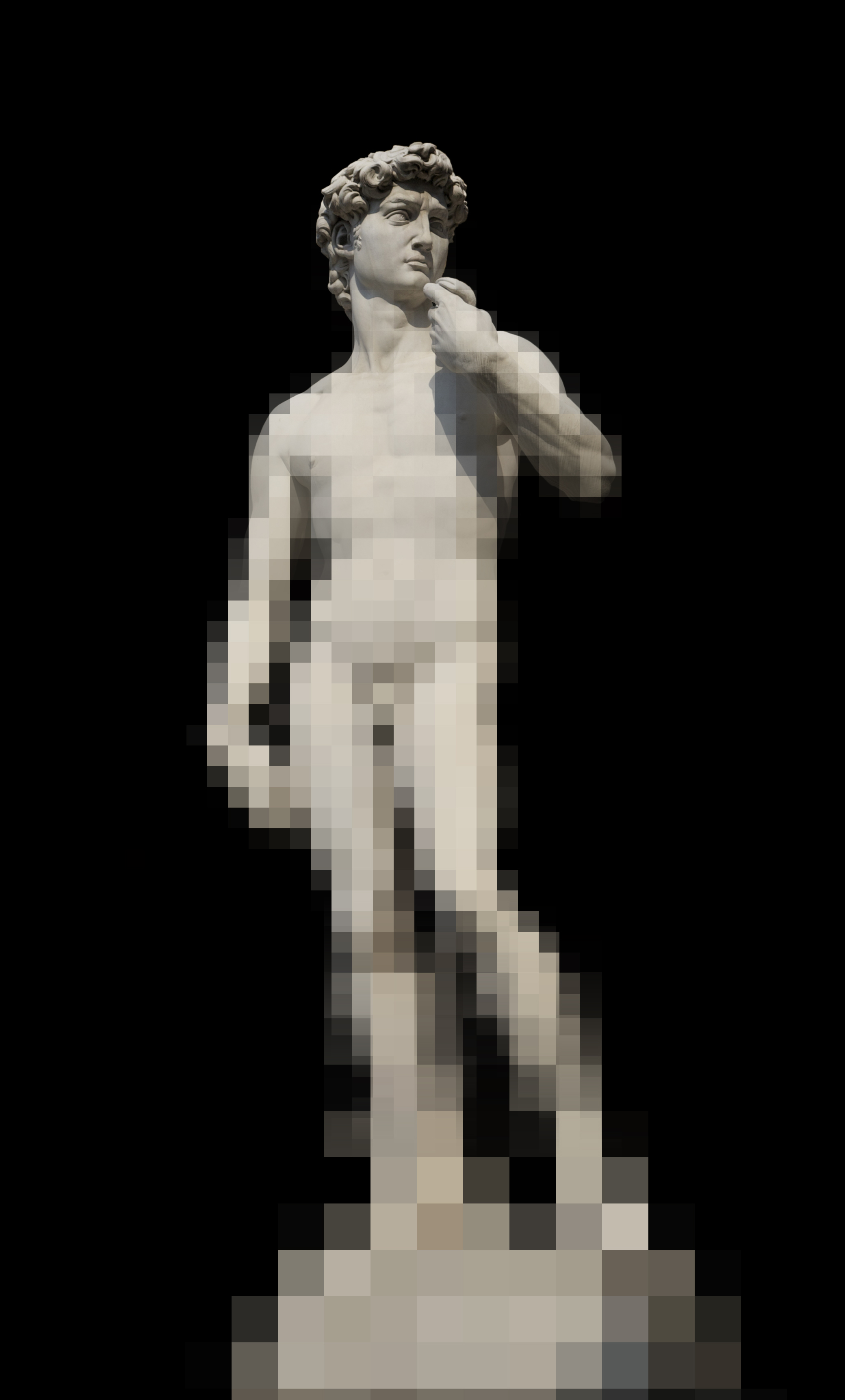 The Disappearing Nude