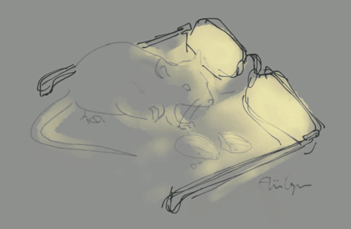 Seeing Myself Clearly