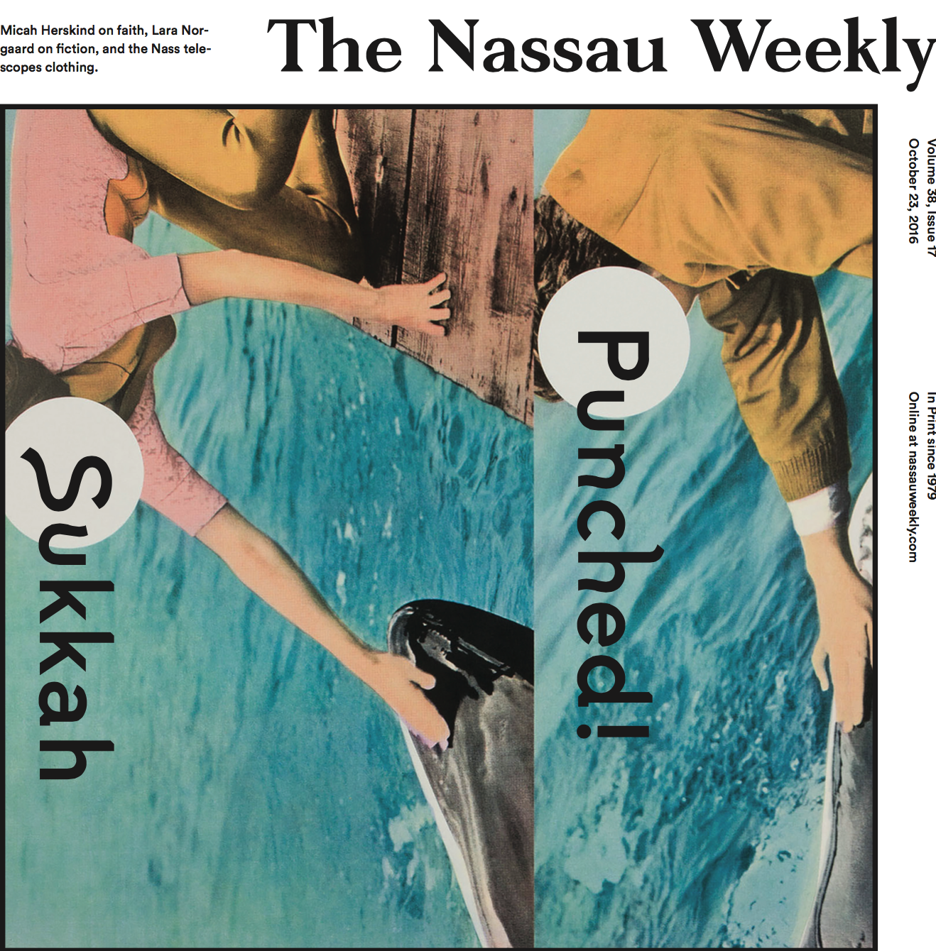 The 2016 Election According to Some People in Your Precept