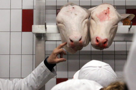 Photos from the Marché de Rungis in Paris