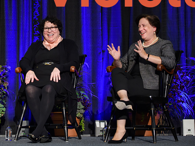 No Shrinking Violets