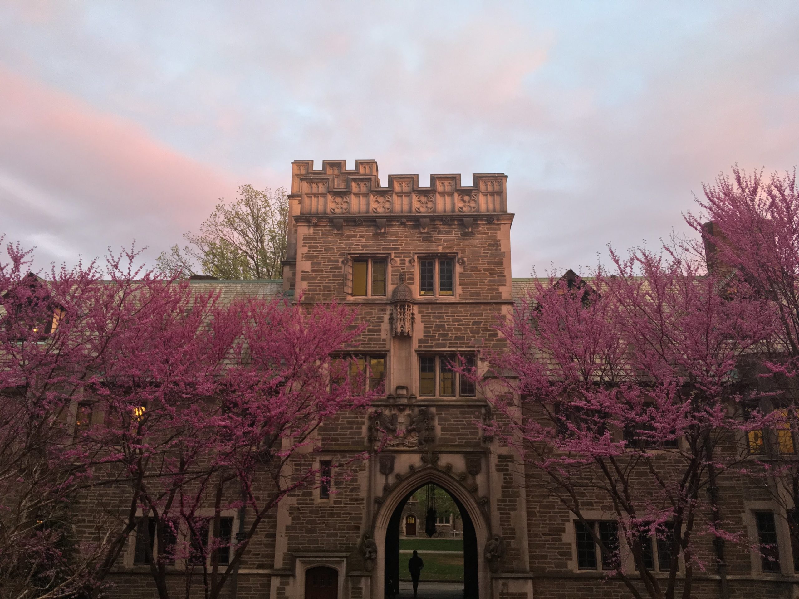 On Deciding Not To Live In A Literal Castle