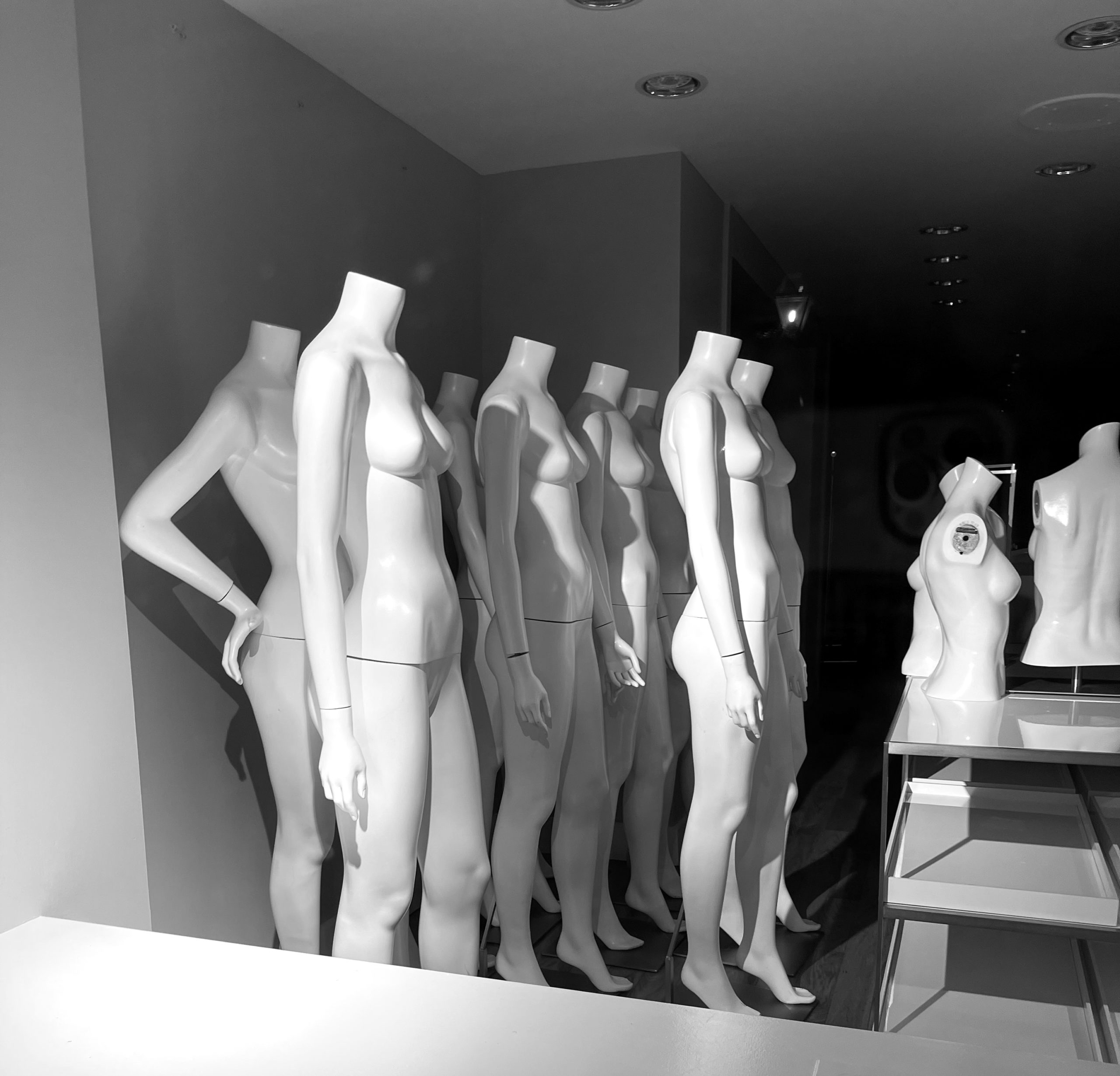 Only In Name: The Myth of Model Minority Assimilation