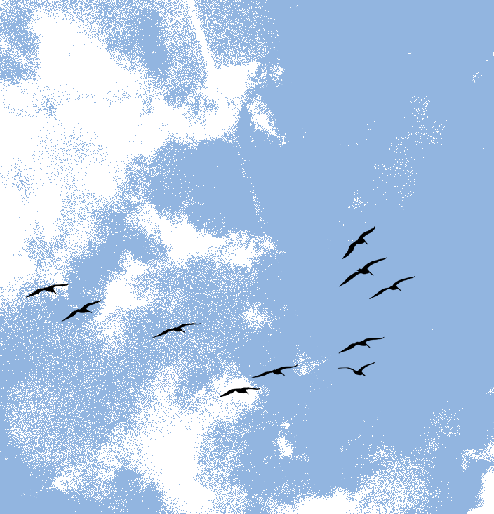 Flightlessness and Being Mine: On Black-Jewish Non-Belonging At Princeton