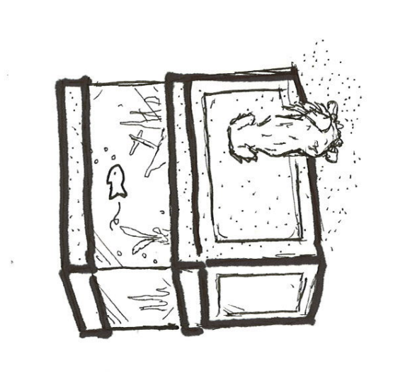 Phoebe Bridgers Killed My Dog