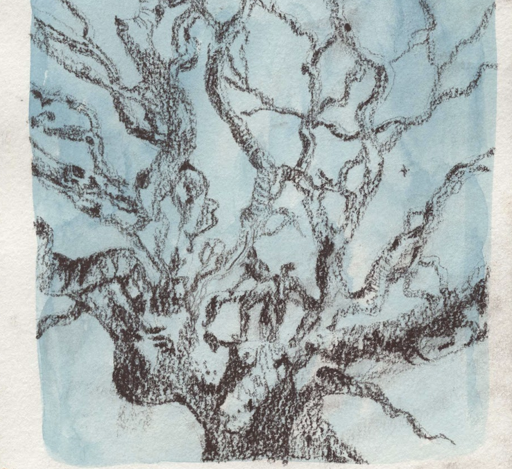 On Wizardly Humane Justice