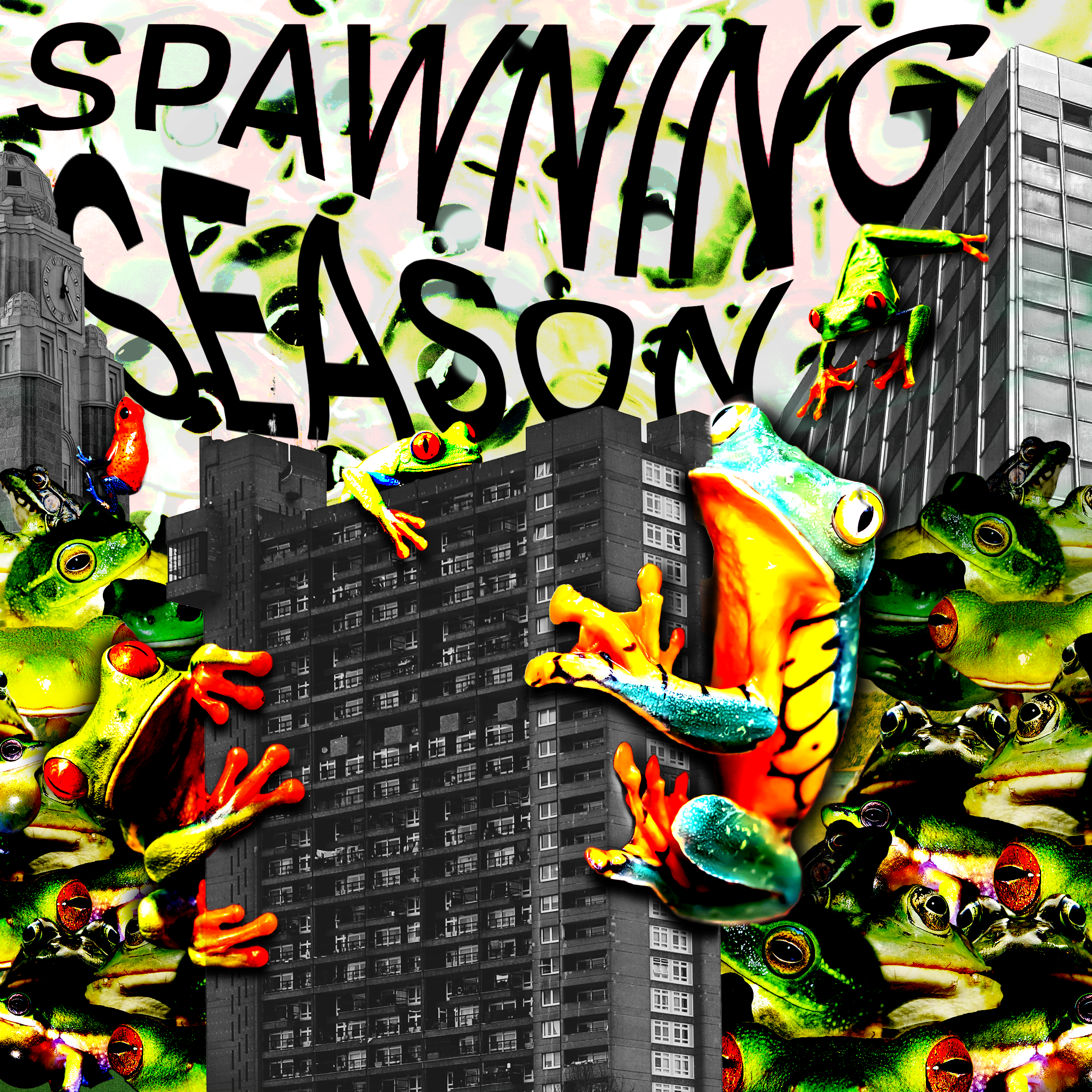 Spawning Season