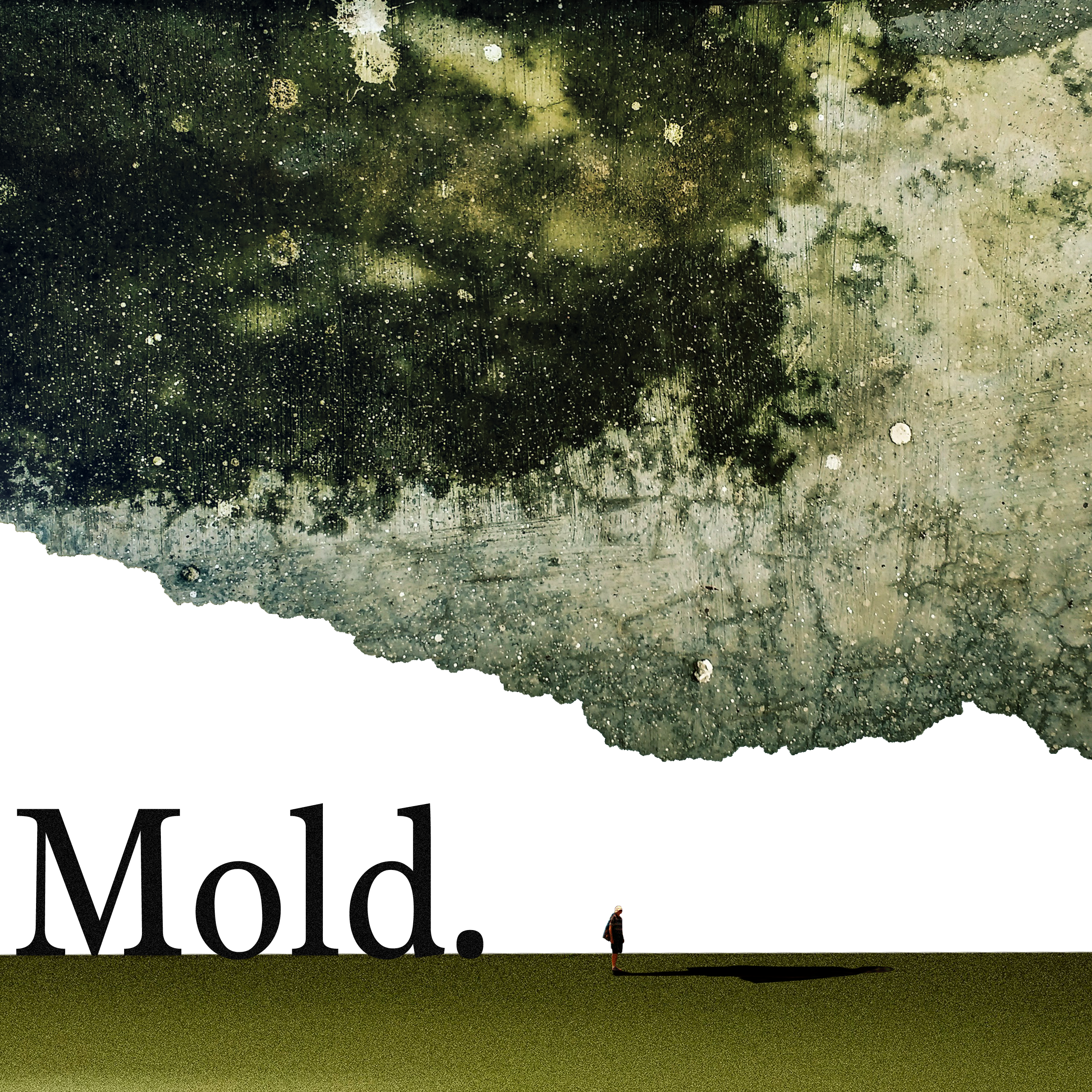 MOLD