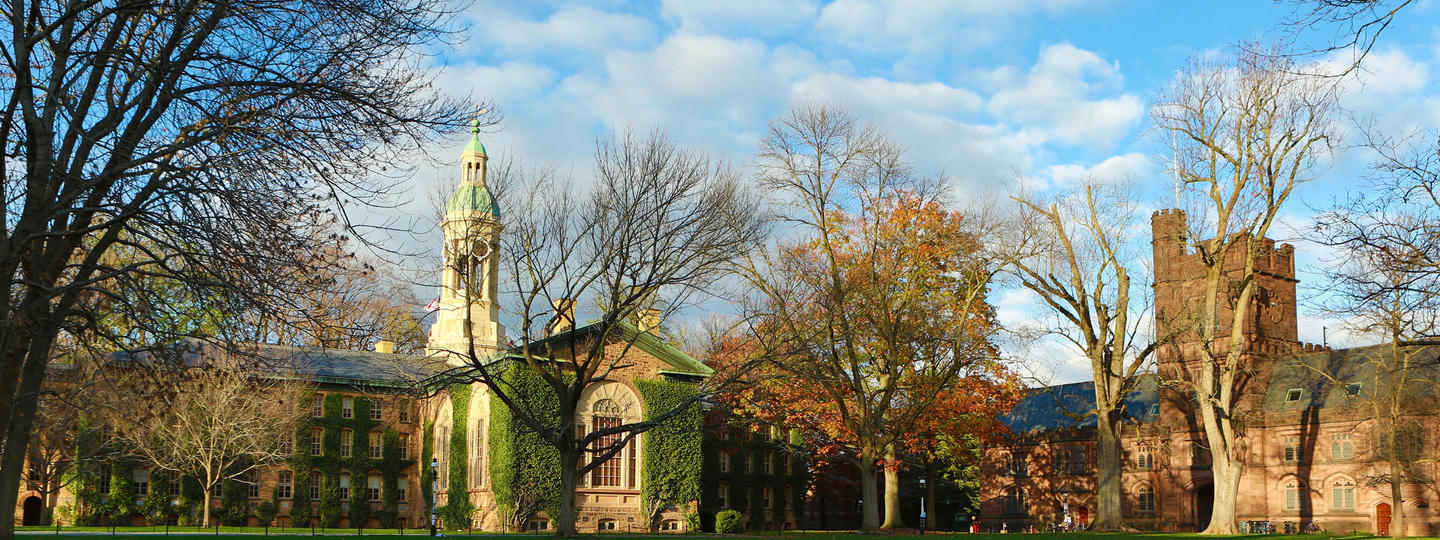 On Campus, the Israel Divestment Struggle is in Limbo