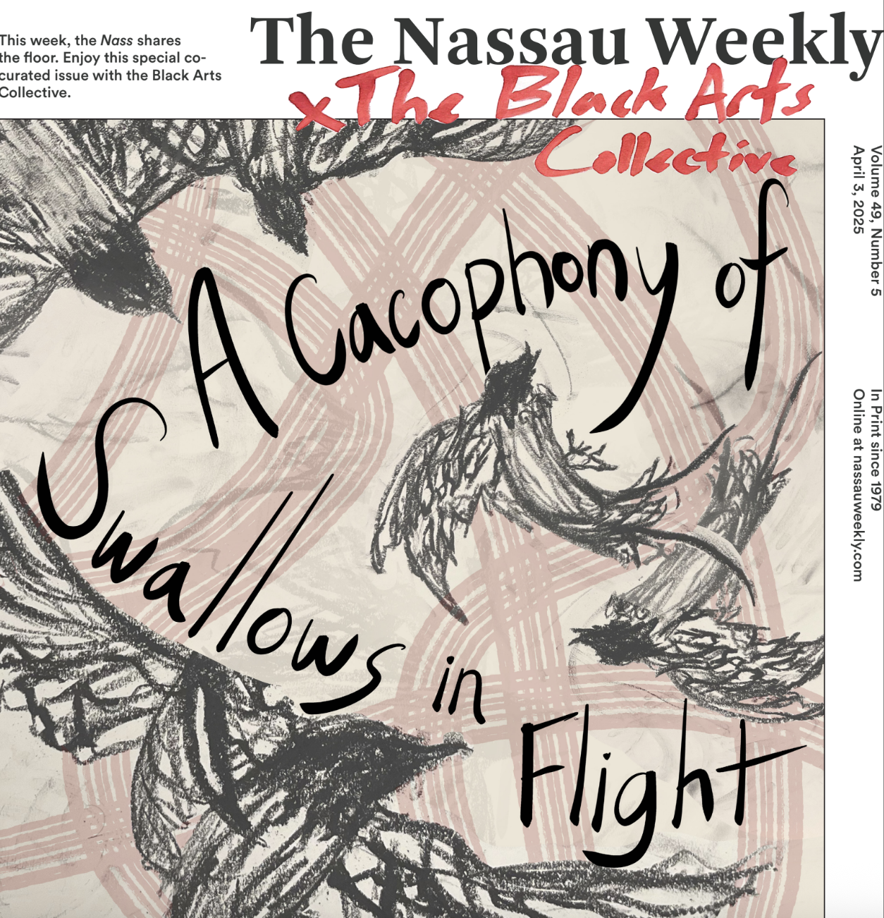 A Cacophony of Swallows in Flight