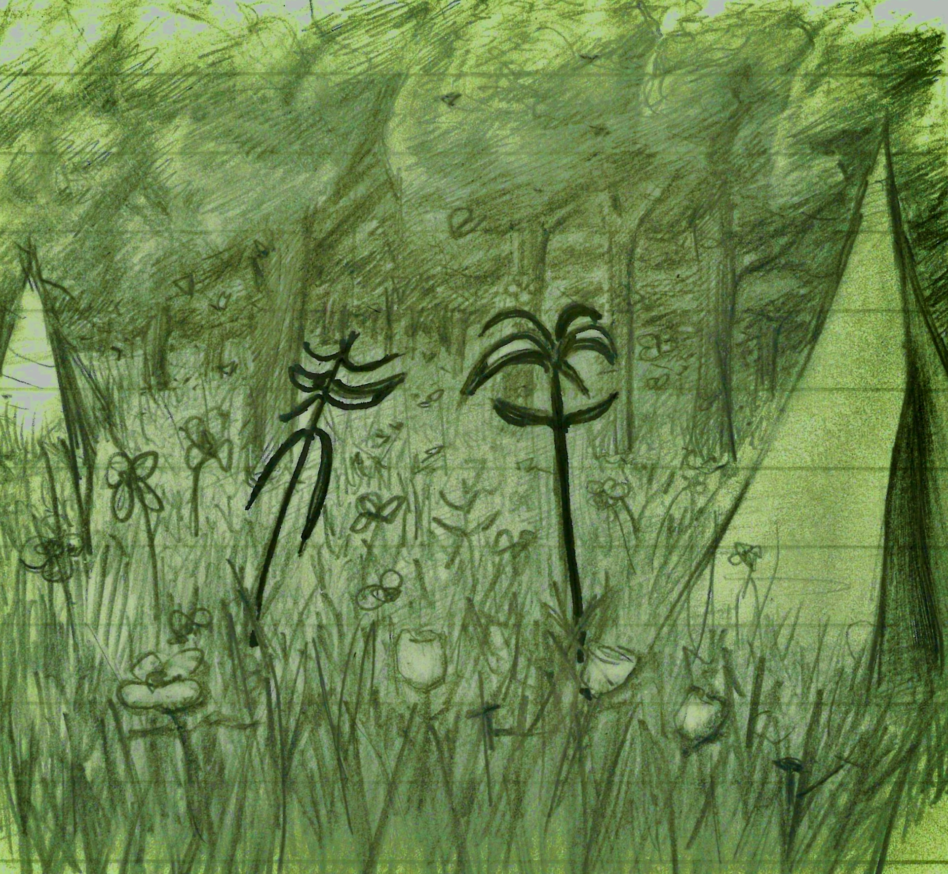 I Only Want to Go Camping with People Who Hate Camping