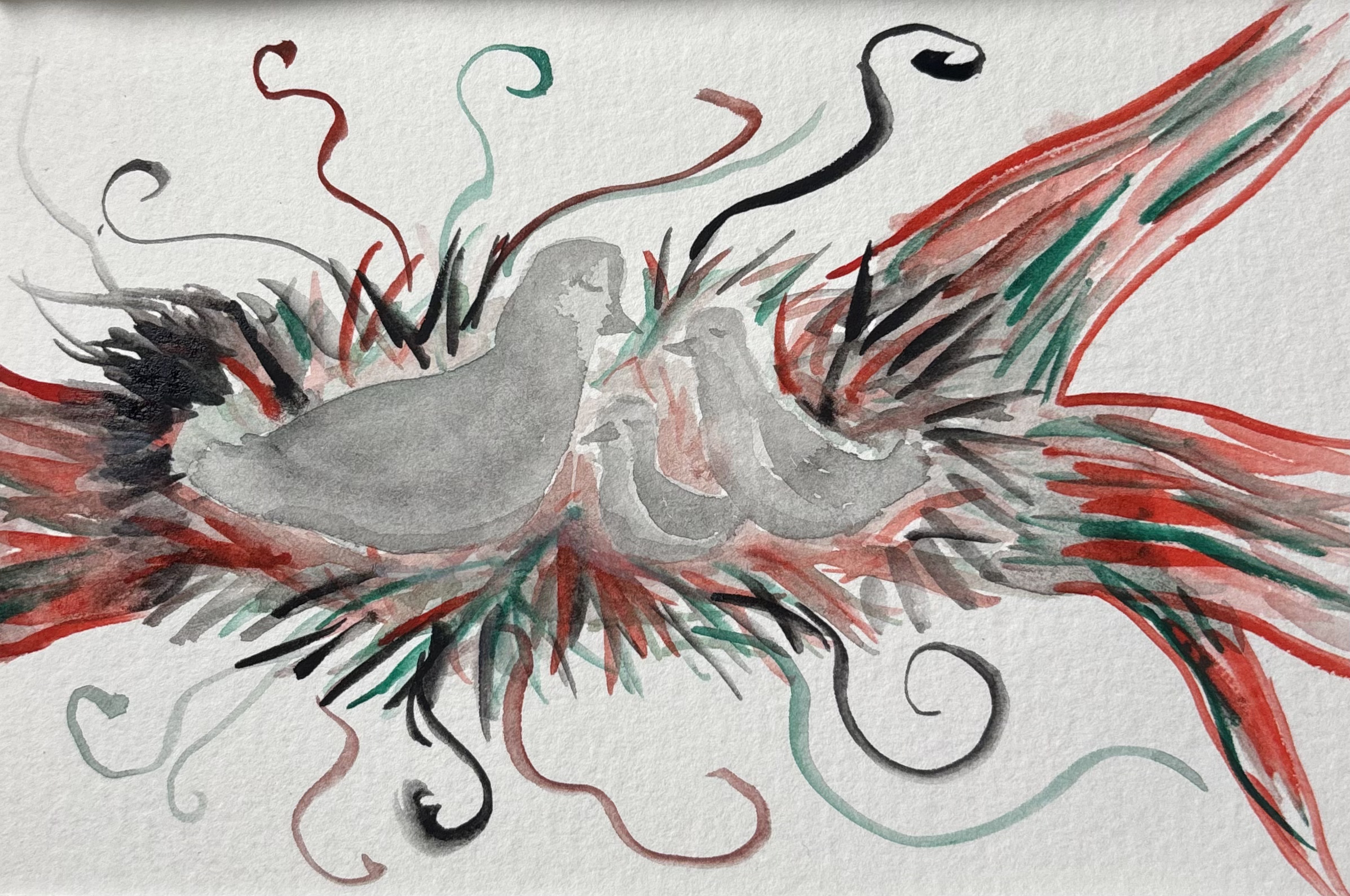 What I Heard about Gaza