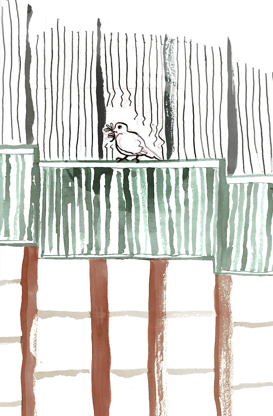 After the End of History, There’s Ireland