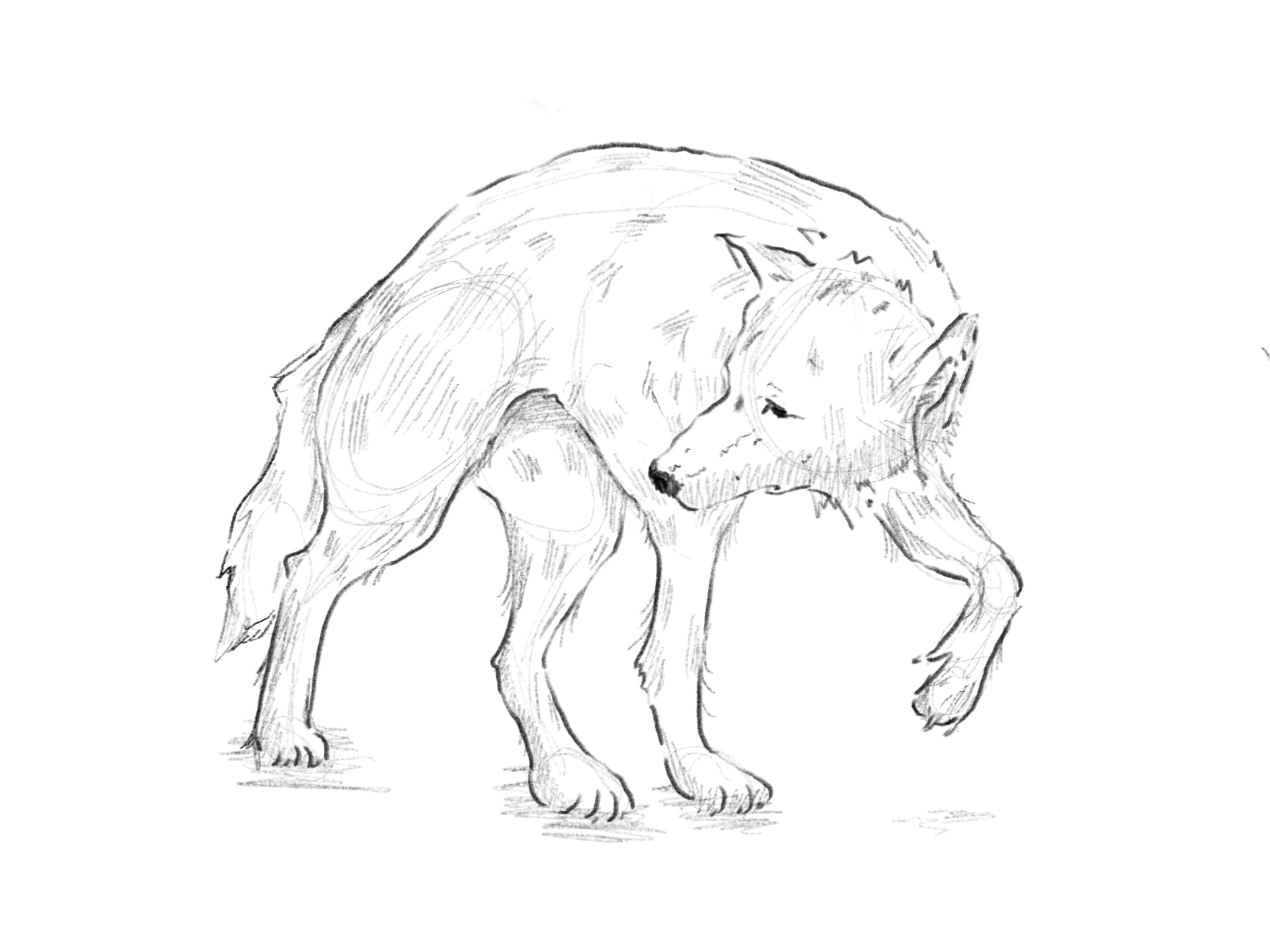 One Must Imagine Lindsey Vonn Happy