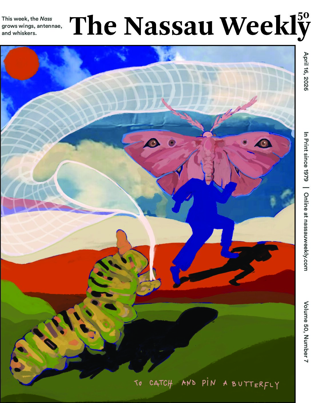 To catch and pin a butterfly